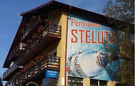Pensiunea Steluta